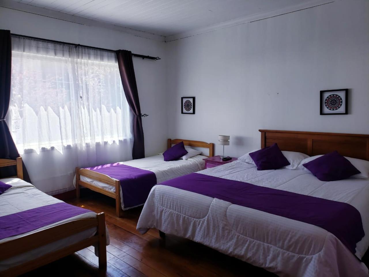 Hostal Arrayan Valdivia Extérieur photo