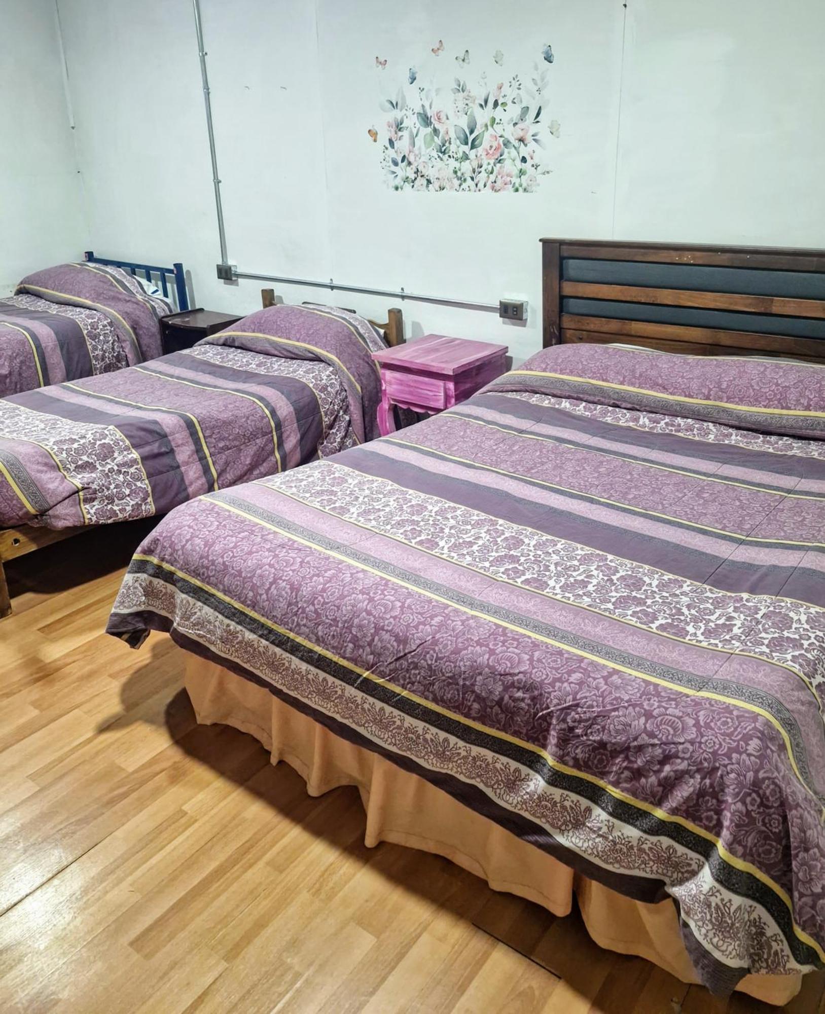 Hostal Arrayan Valdivia Extérieur photo